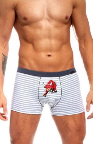 Pánske boxerky TATTOO BULL 280/121
